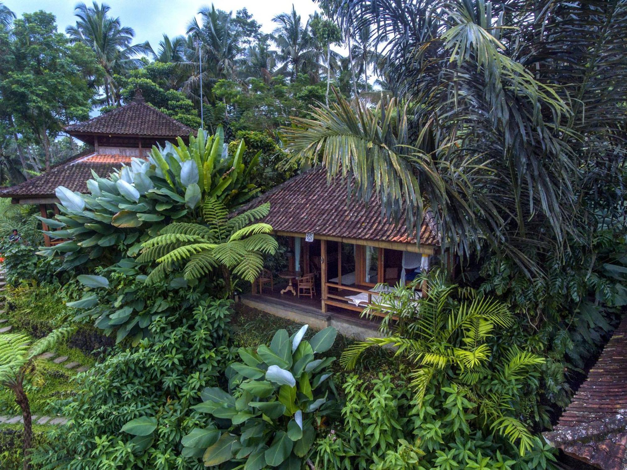 Dewi Tara Haven Bed & Breakfast กีอันยาร์ ห้อง รูปภาพ