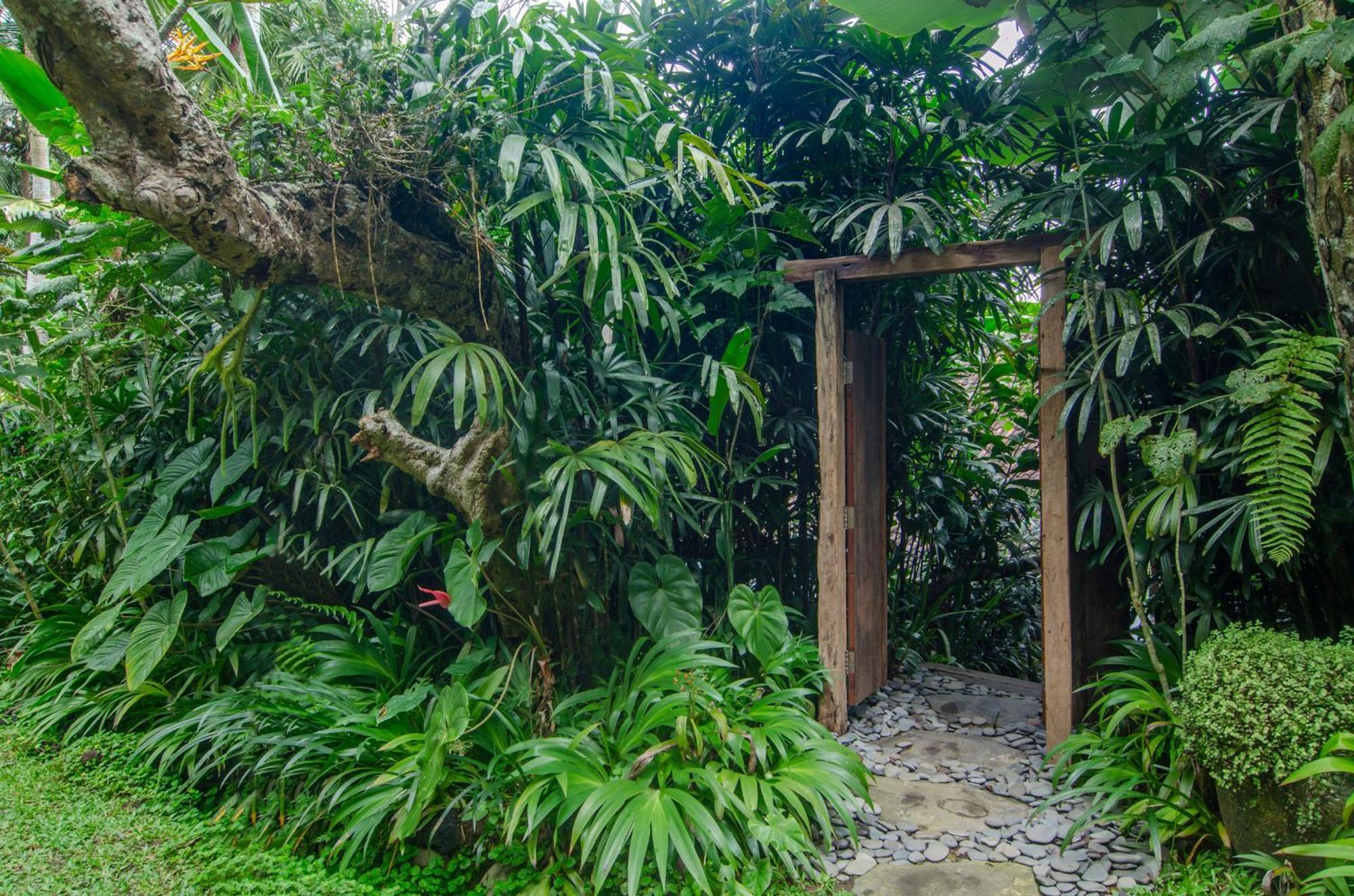 Dewi Tara Haven Bed & Breakfast กีอันยาร์ ห้อง รูปภาพ