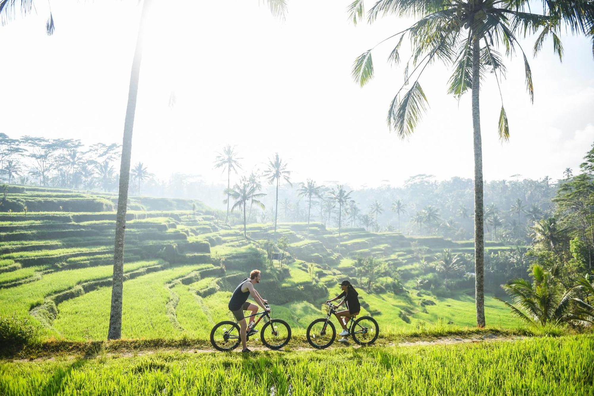 Dewi Tara Haven Bed & Breakfast กีอันยาร์ ห้อง รูปภาพ