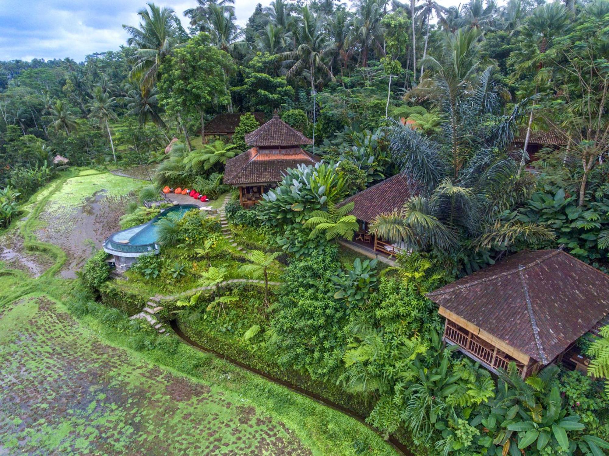 Dewi Tara Haven Bed & Breakfast กีอันยาร์ ห้อง รูปภาพ