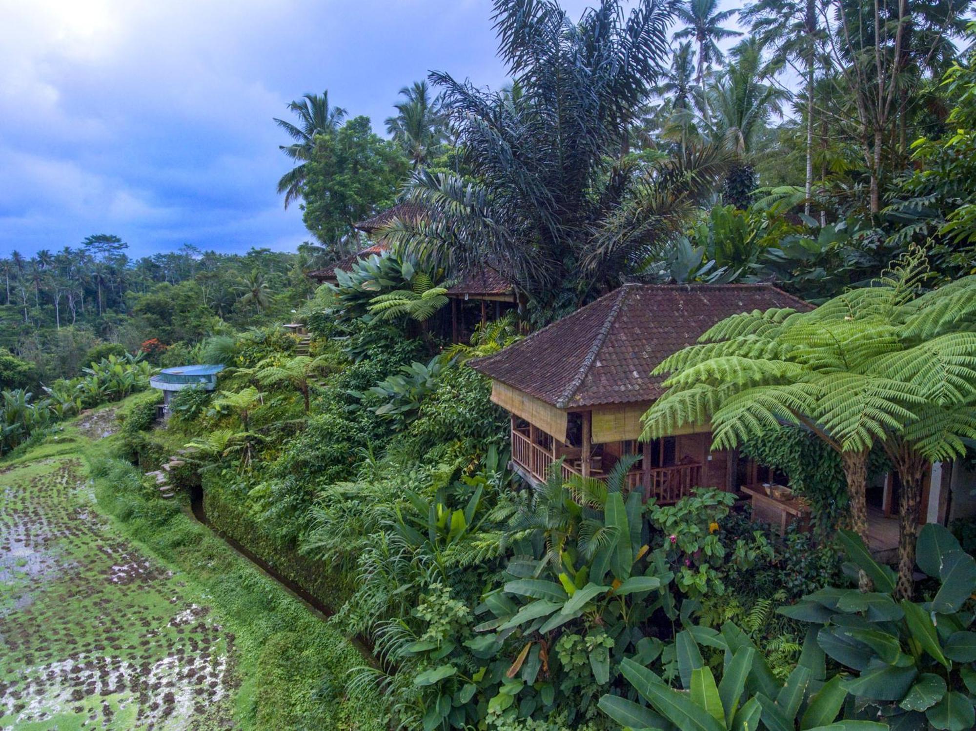 Dewi Tara Haven Bed & Breakfast กีอันยาร์ ห้อง รูปภาพ