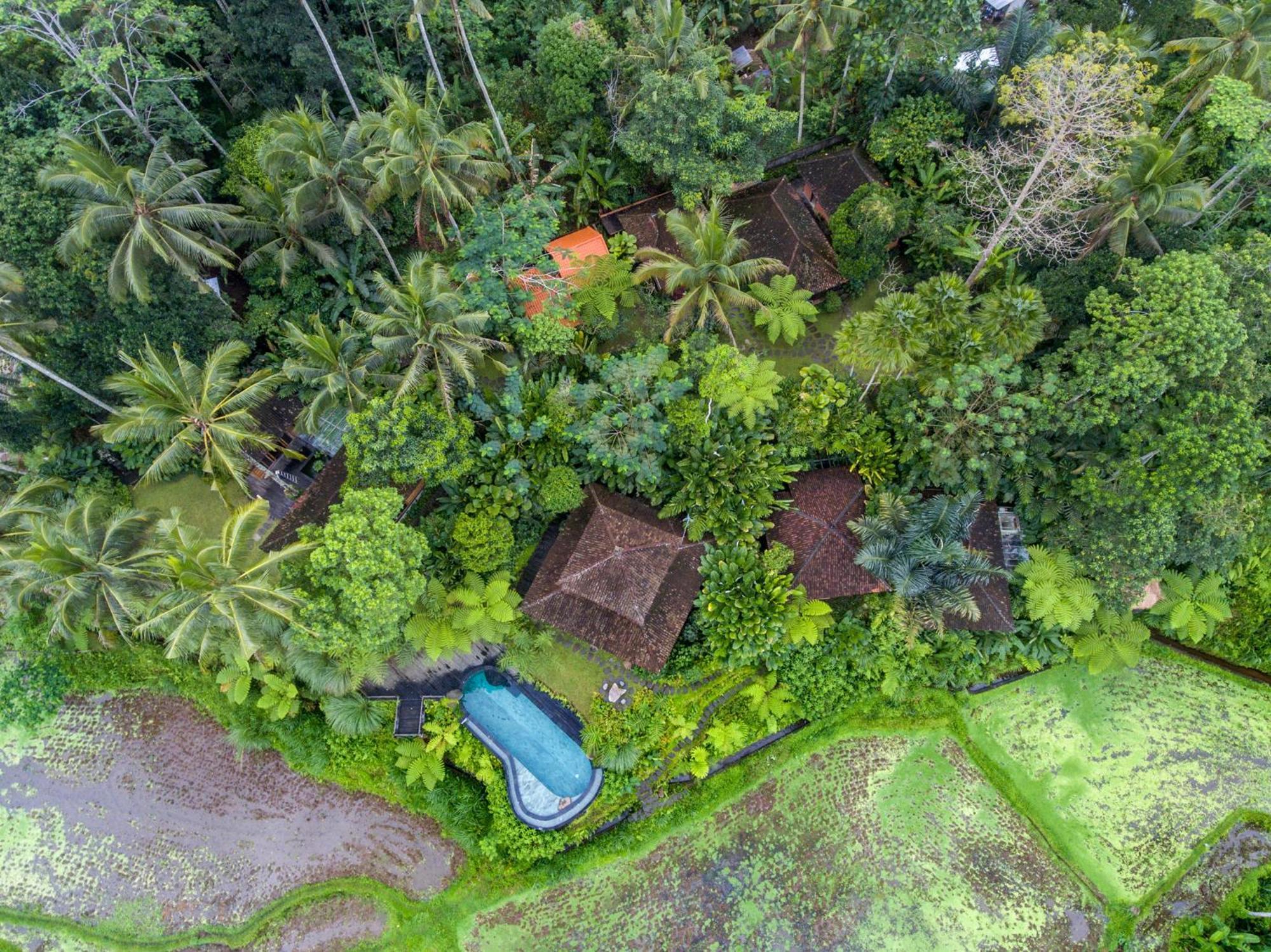Dewi Tara Haven Bed & Breakfast กีอันยาร์ ห้อง รูปภาพ